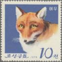 Red Fox (Vulpes vulpes)