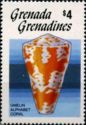 Alphabet cone (Conus spurius)