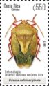 Red-bordered Stink Bug (Edessa rufomarginata)