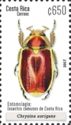 Chrysina aurigans