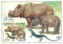 ZOO Plzen. Indian Rhinoceros & Blue Lizards