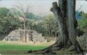 Maya Temple (Republica de Honduras)