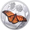 50 Dollars (Monarch Migration)