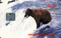Brown Bear with Salmon - Brooks River (SC5)