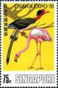 American Flamingo (Phoenicopterus ruber), Helmeted Hornbill 