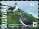 Chatham Albatross (Thalassarche eremita)