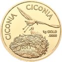 10 Dollars (Ciconia Ciconia)