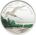 1 Dollar (Red-tailed tropicbird - Phaethon rubricauda)