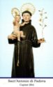 "Anthony of Padua", Capizzi, Sicily - Saints (M)