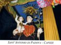 "Anthony of Padua", Capizzi, Sicily - Saints (M)