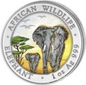 100 Shillings (Elephant Day and Night)