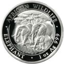 100 Shillings (1 ounce - Elephant High Relief)