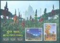Beautiful India souvenir sheet