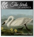 500 CFA Francs (The Birds of America - Common American Swan)