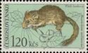 Hazel Dormouse (Muscardinus avellanarius)