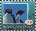 Adelie Penguin (Pygoscelis adeliae)