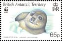Crabeater seal (Lobodon carcinophaga)