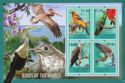 Birds of the world