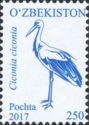White Stork (Ciconia ciconia)