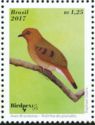 Blue-eyed Ground-Dove (Columbina cyanopis)