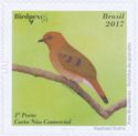 Blue-eyed Ground-Dove (Columbina cyanopis)