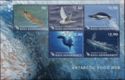 Antarctic Food Web