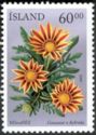 Treasure flower (Gazania x hybrida)
