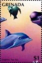 Dolphins, Sea lion