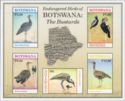 Endangered Birds : Bustards