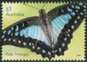Pale Triangle (Graphium eurypylus)