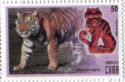 Tiger (Panthera tigris) and carving of tiger