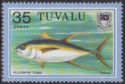 Yellowfin Tuna (Thunnus albacares) - Takua