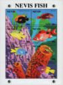 Nevis Fish