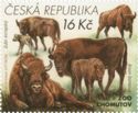 European Bison (Bison bonasus)