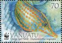 Orange-spotted Filefish (Oxymonacanthus longirostris)