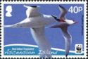 Red-billed Tropicbird (Phaethon aethereus)