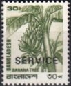 Banana Tree (Musa x paradisiaca) - Overprint