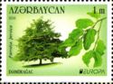Europa - Persian Ironwood (Parrotia persica)