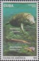 West Indian Manatee (Tricheus manatus), Cuban Gar (Atractost