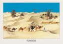 Tunisie. Caravan in desert
