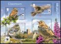 WWF: Endangered Species Meadow Pipit