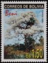 White Tajibo Tree (Tajibo blanco)