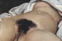 Gustave Courbet "L'origine du Monde"