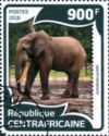 African Forest Elephant (Loxodonta cyclotis)