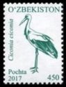 White Stork (Ciconia ciconia)