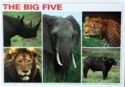The Big Five