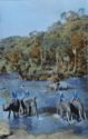 Elephants in the River
