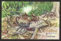 Asian Forest Scorpion (Heterometrus longimanus)