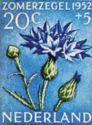 Cornflowers on stamp