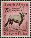 Gemsbok (Oryx gazella)